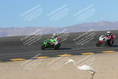 media/Nov-12-2023-SoCal Trackdays (Sun) [[5d1fba4e7d]]/Bowl (930am)/